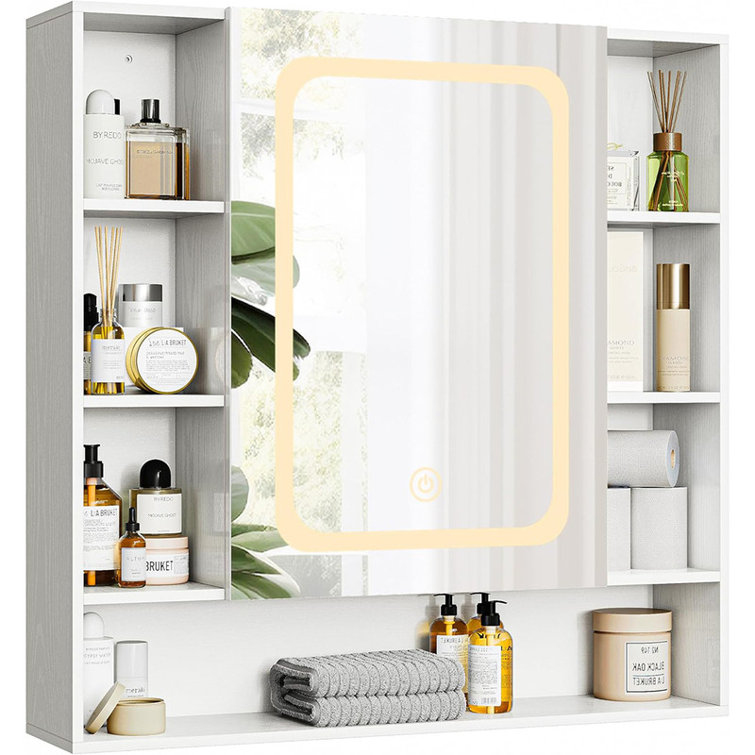 Latitude Run® Medicine Wall Mounted with LED Light Mirror